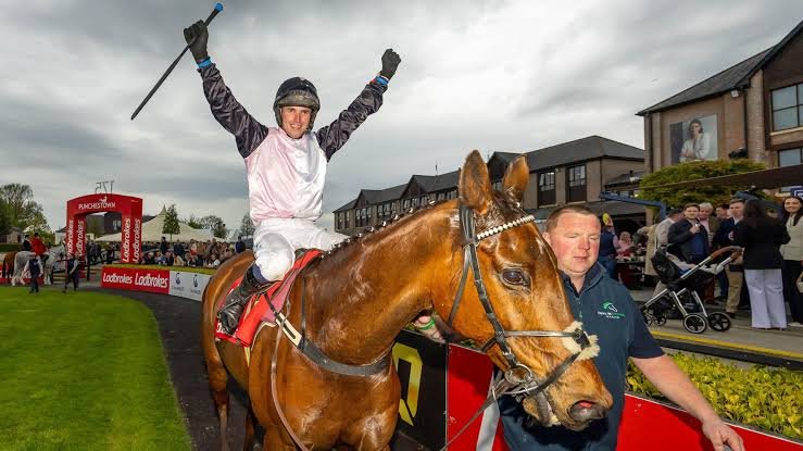Punchestown Jockey Fall