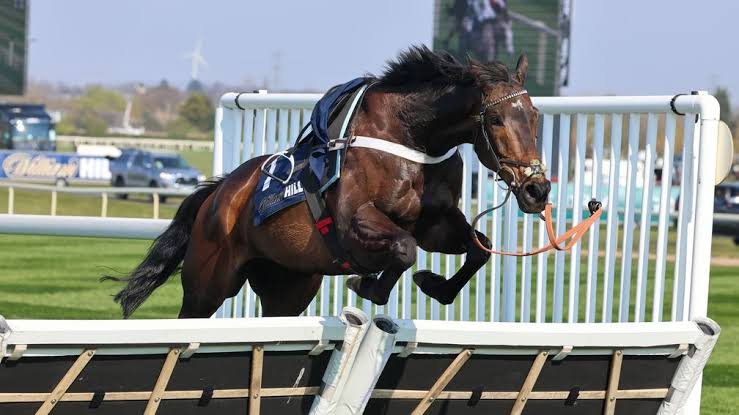 Punchestown Jockey Fall