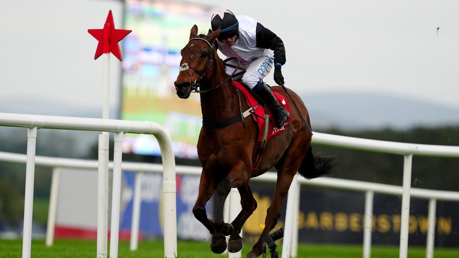 Punchestown Jockey Fall